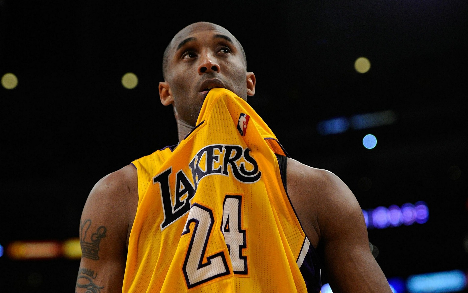 入的其他外 入的其他外