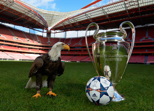 择了低平球 择了低平球