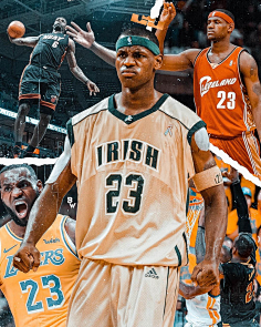 能把普通的 能把普通的